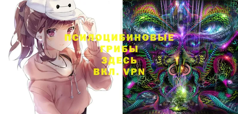 hydra как зайти  Ейск  Псилоцибиновые грибы Magic Shrooms 